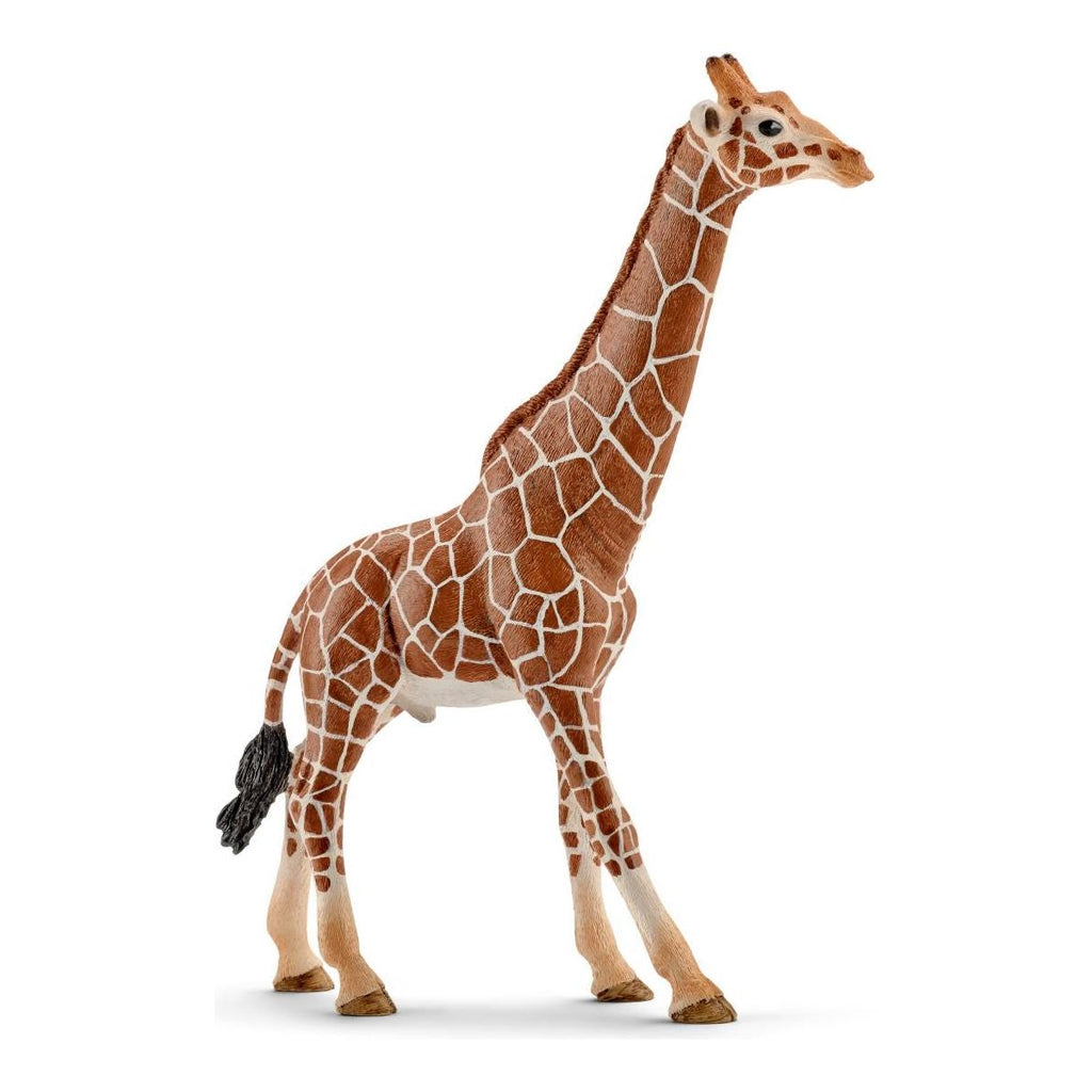 Schleich Wild Life Giraffe Male 14749