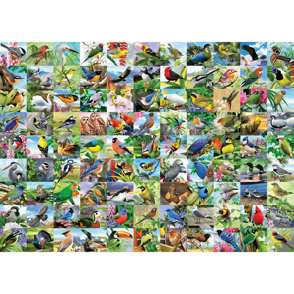 Ravensburger 300 Piece Large Format Puzzle 99 Delightful Birds 16937