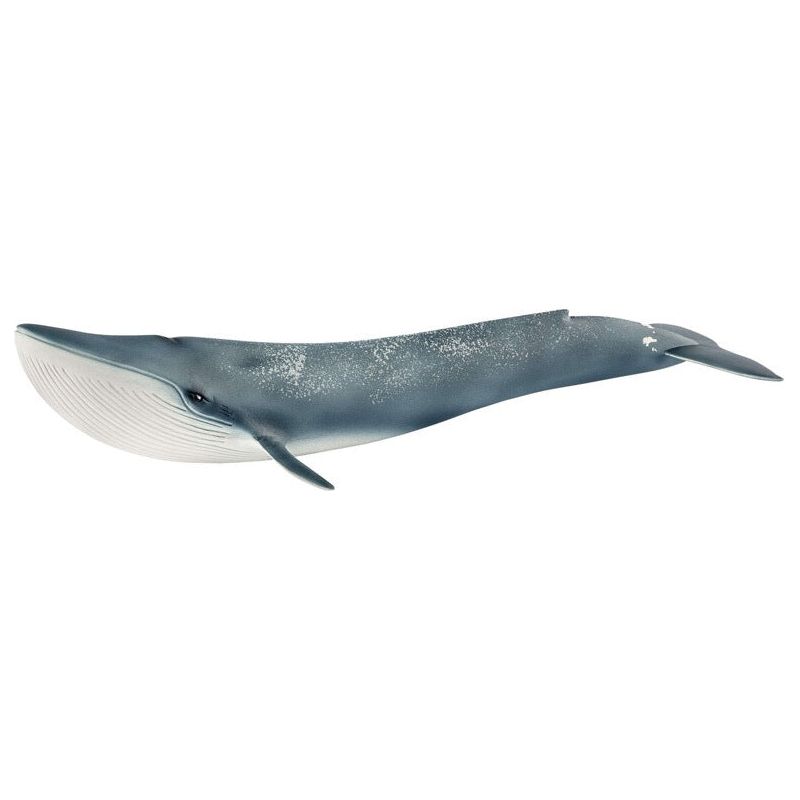 Schleich Wild Life Blue Whale 14806 canada 