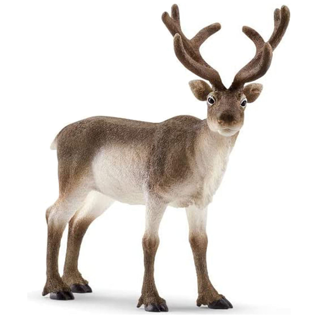 Schleich Wild Life Reindeer 14837 canada ontario