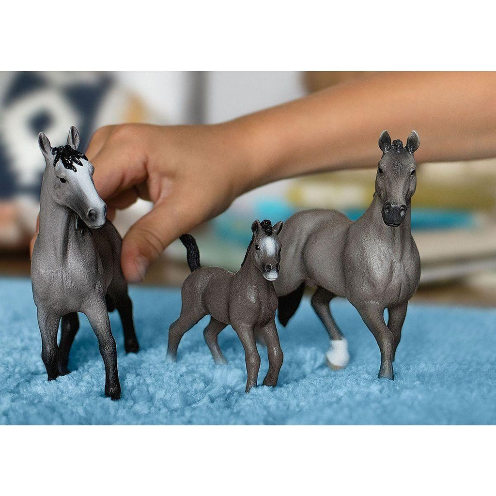 Schleich Horse Club Selle Français Foal 13957