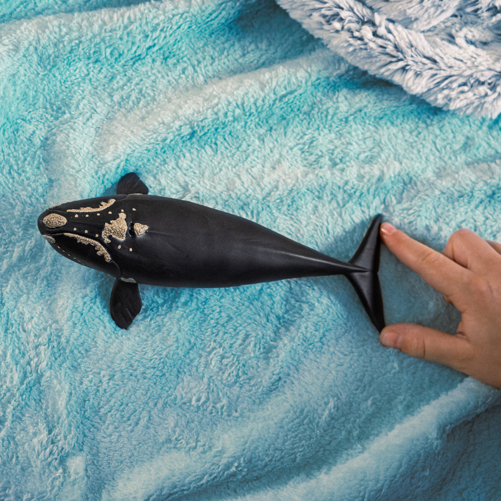 Schleich Wild Life North Atlantic Right Whale 14878