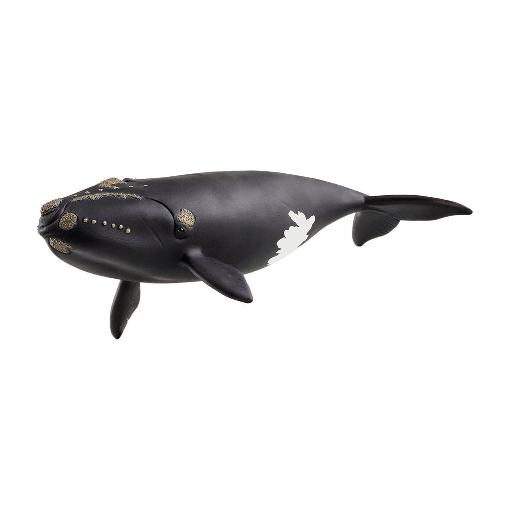Schleich Wild Life North Atlantic Right Whale 14878