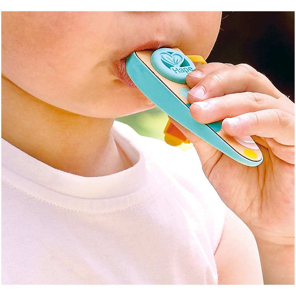Hape Rhythm & Hum Pocket Kazoo