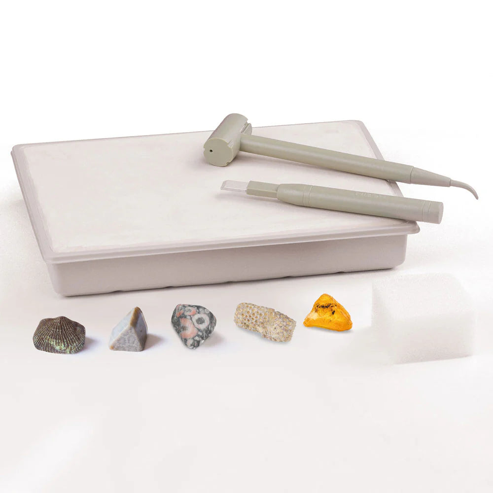 I Dig It! Real Fossils Excavation Kit