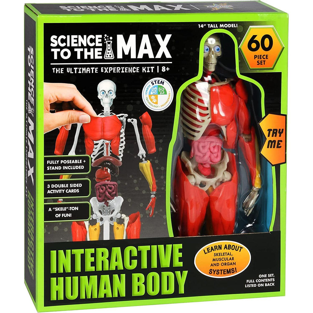 Science to the Max Interactive Human Body
