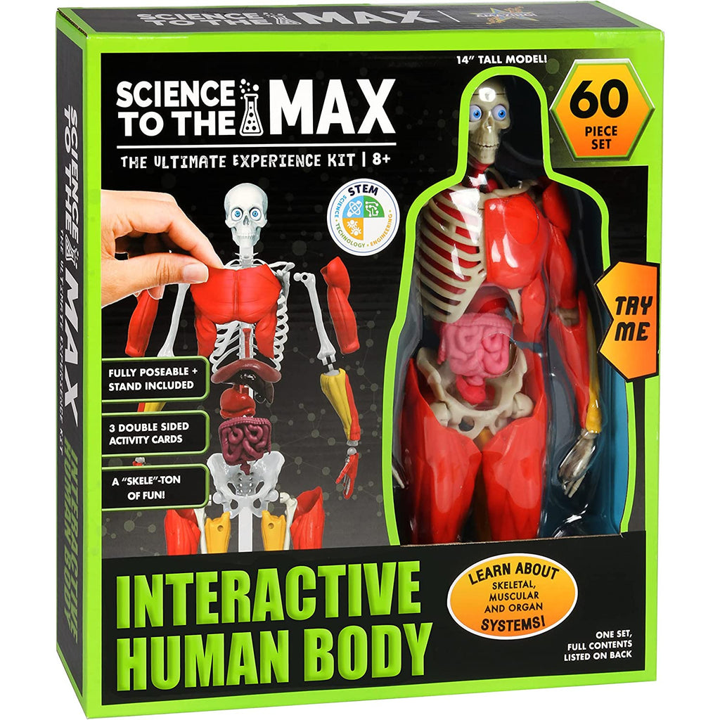 Science to the Max Interactive Human Body