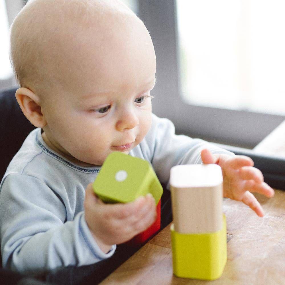Tegu Baby's First Blocks 6 Piece