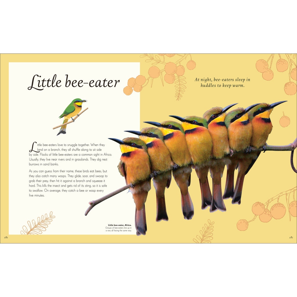 DK An Anthology of Exquisite Birds