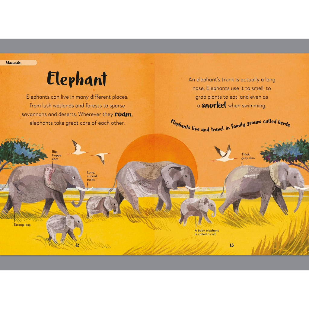 DK The Bedtime Book of Animals