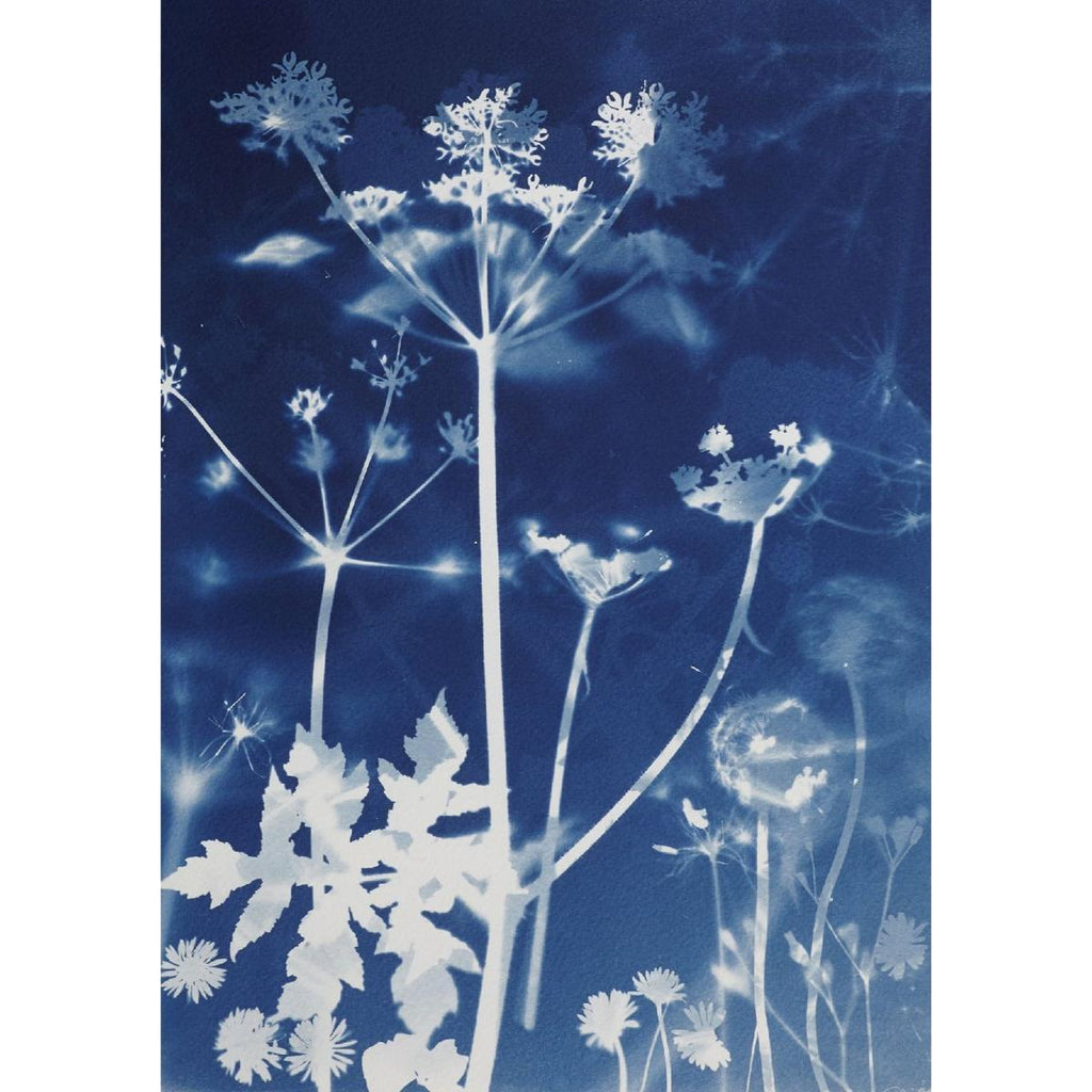 Djeco Cyanotype Starter Kit