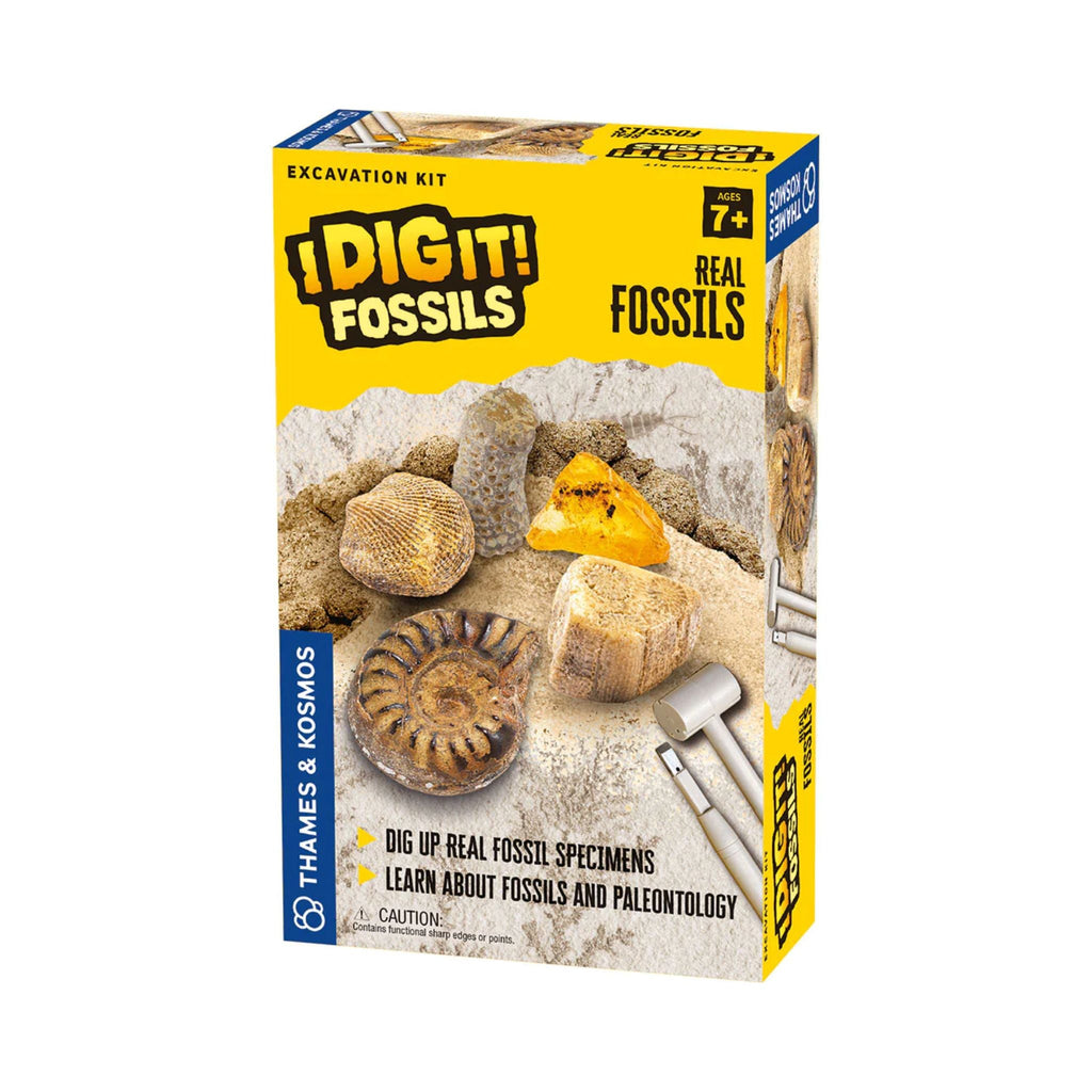 I Dig It! Real Fossils Excavation Kit