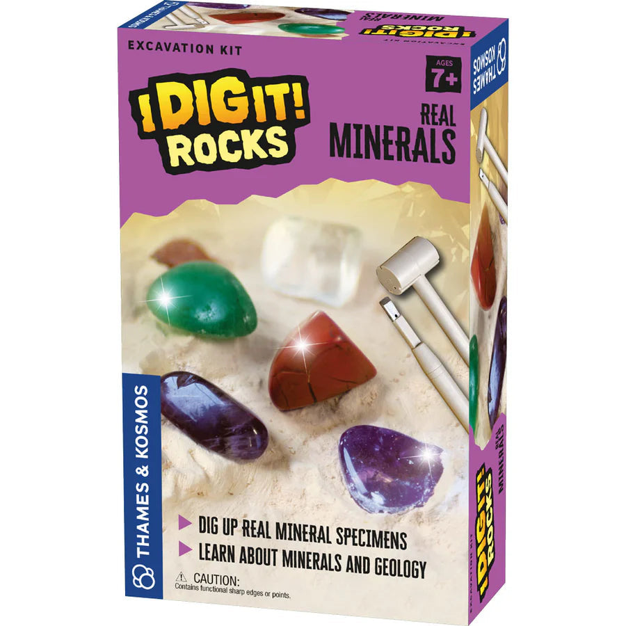 I Dig It! Real Minerals Excavation Kit