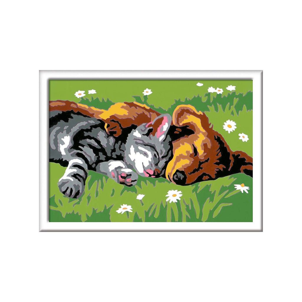 CreArt Sleeping Cat and Dog