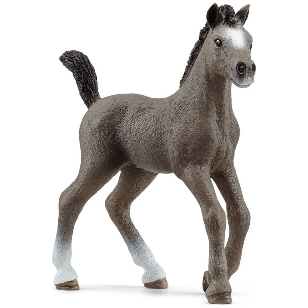 Schleich Horse Club Selle Français Foal 13957