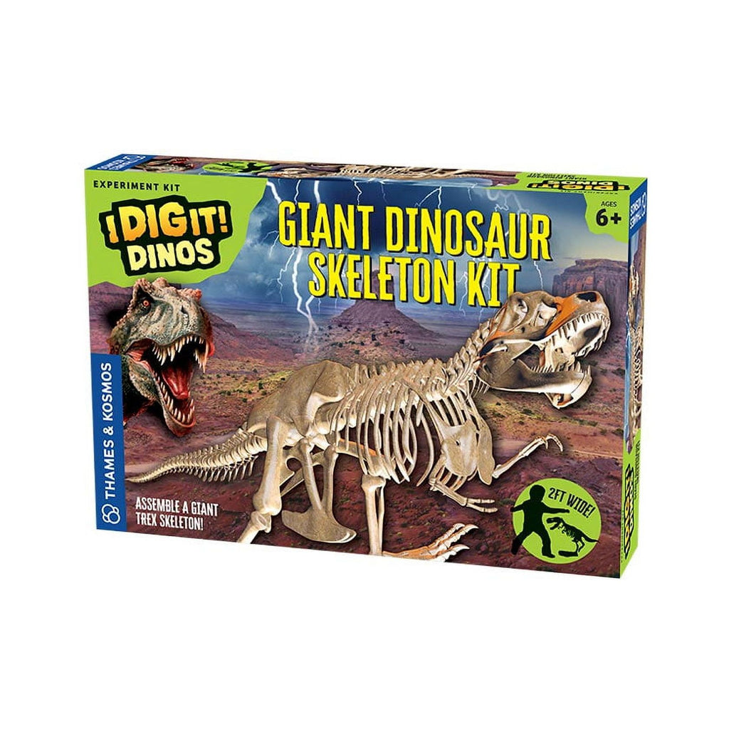Thames & Kosmos Giant Dinosaur T-Rex Skeleton Model