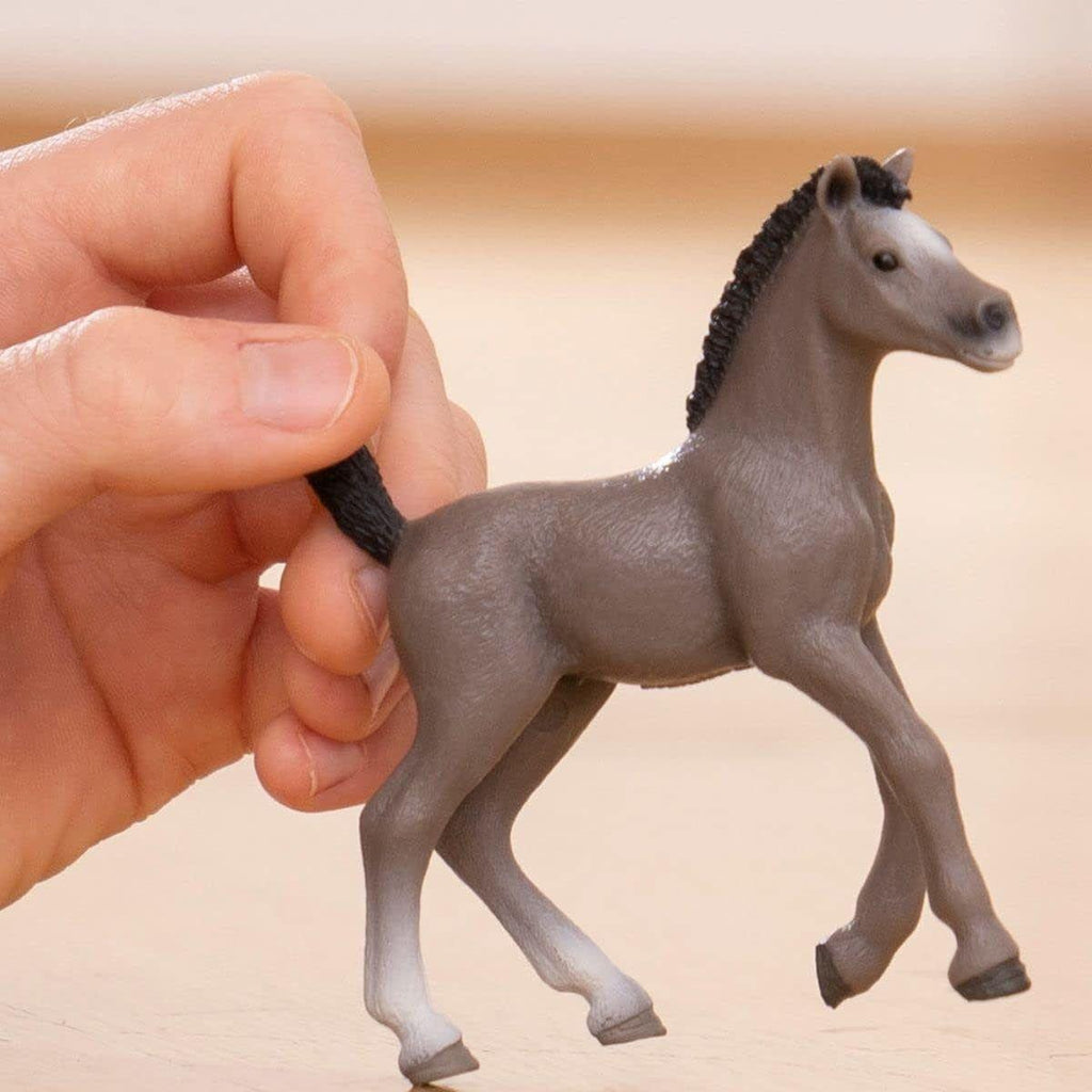 Schleich Horse Club Selle Français Foal 13957