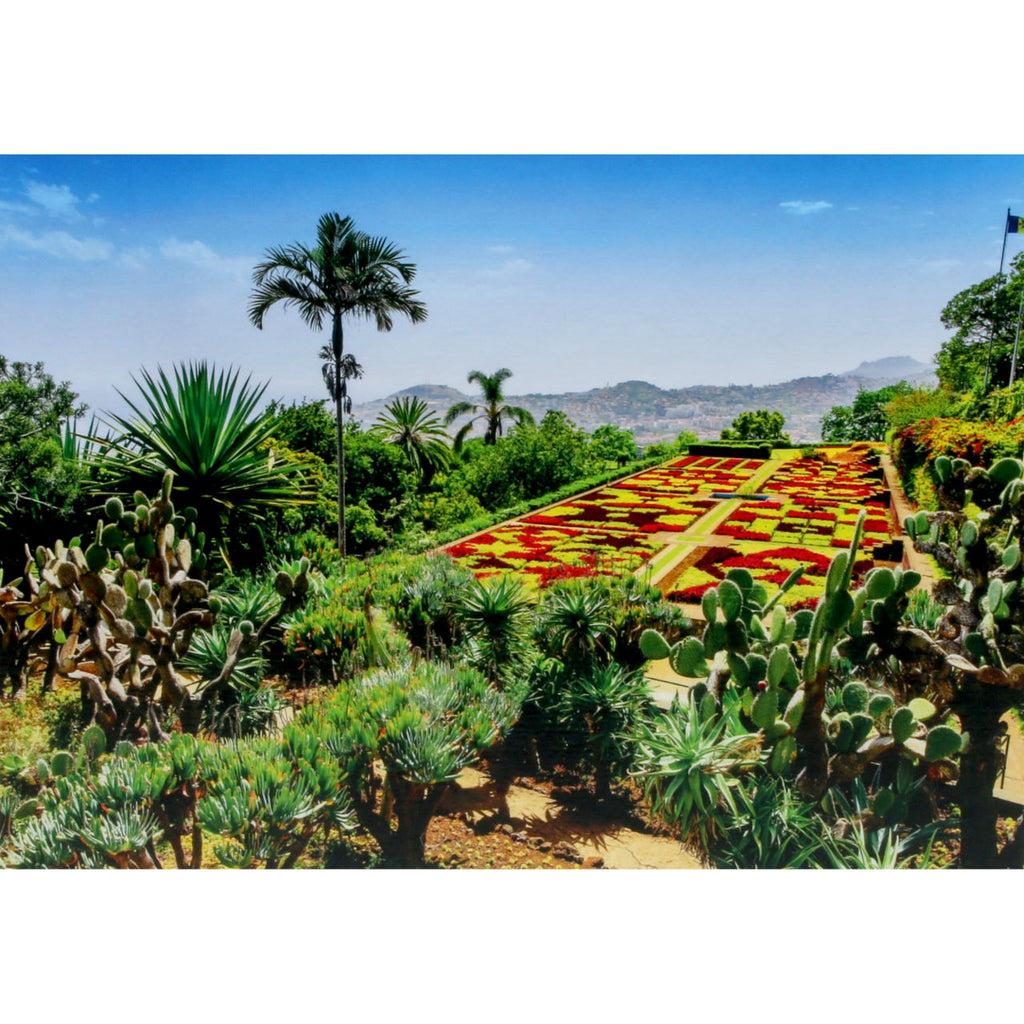 Ravensburger 1000 Piece Puzzle Botanical Garden Madeira