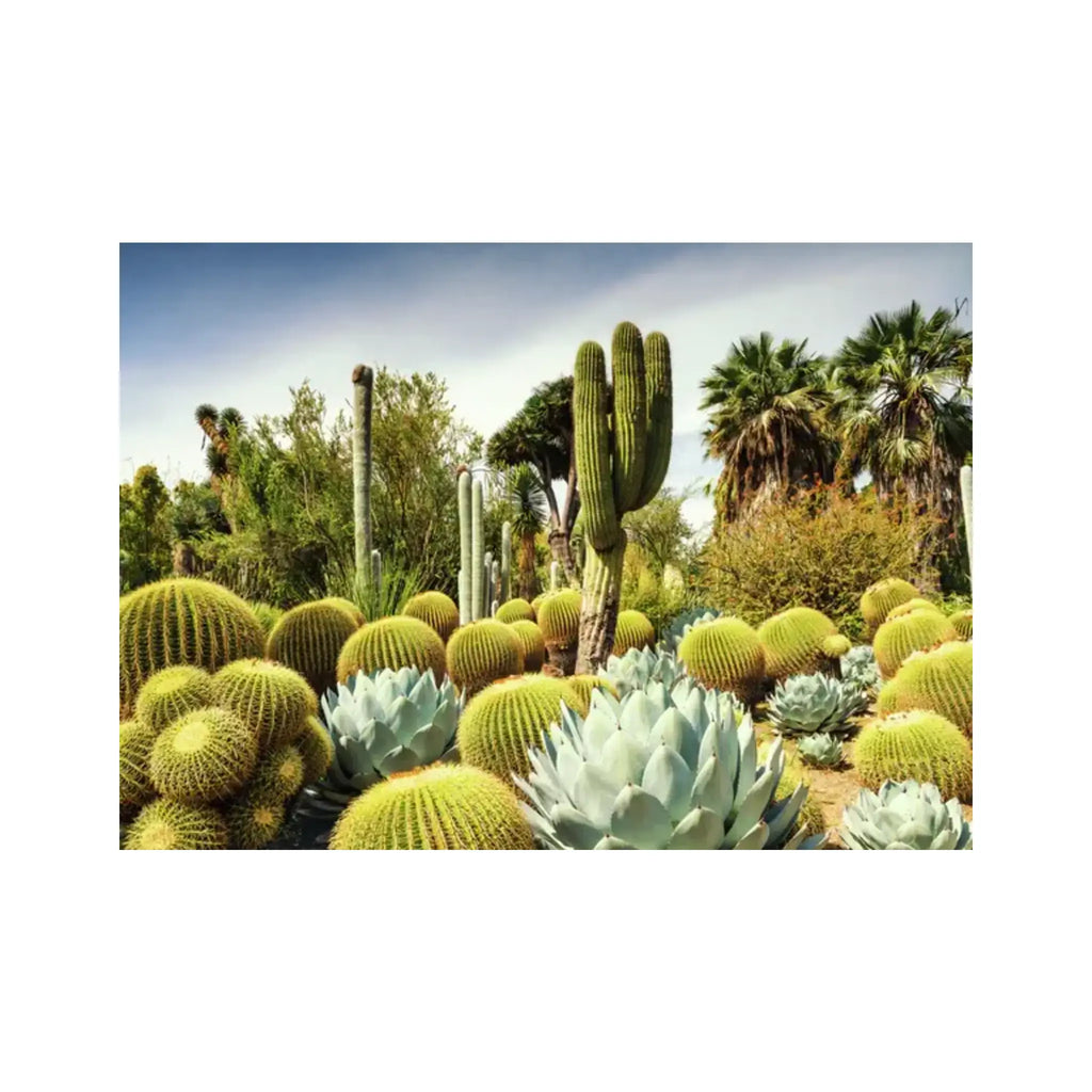 Ravensburger 1000 Piece Puzzle Huntington Desert Garden USA