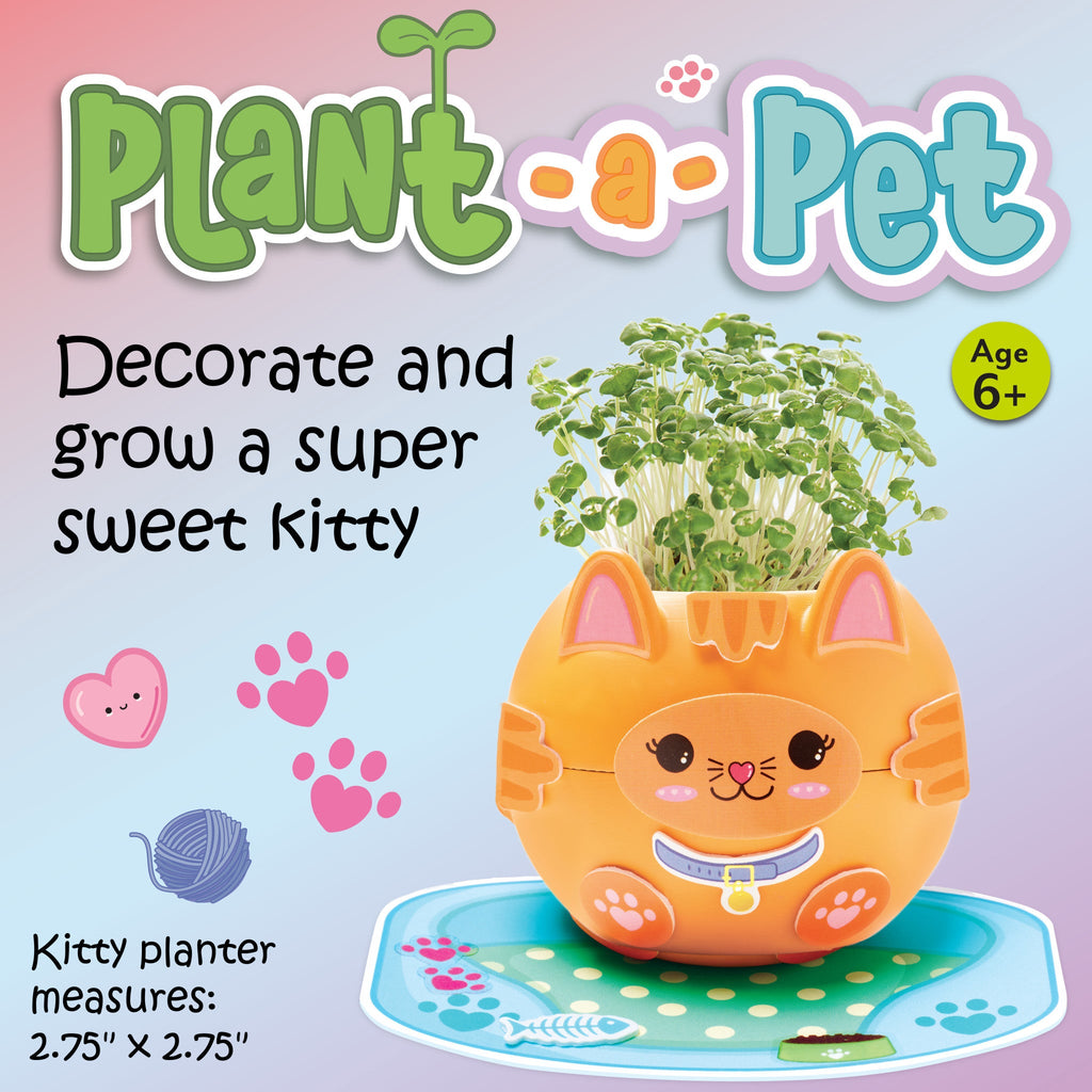 Creativity for Kids Plant a Pet Kitty