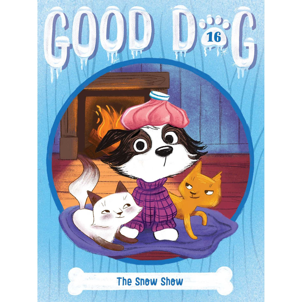 Good Dog Book 16 The Snow Show