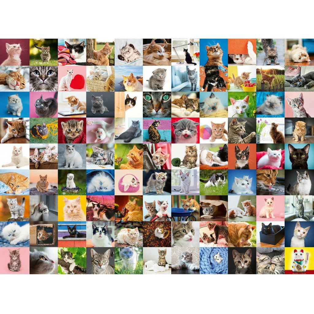 Ravensburger 1500 Piece Puzzle 99 Cats 16235