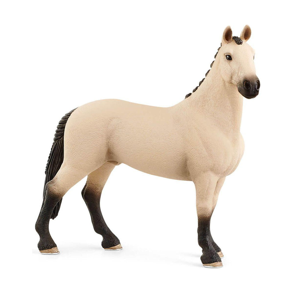 Schleich Horse Club Hanoverian Gelding Red Dun 13928 figurine canada ontario