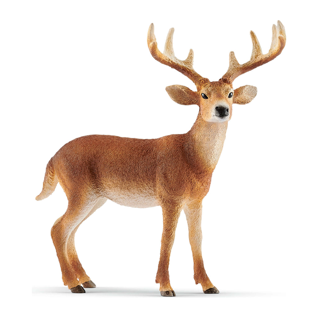 Schleich Wild Life White Tailed Buck 14818 canada