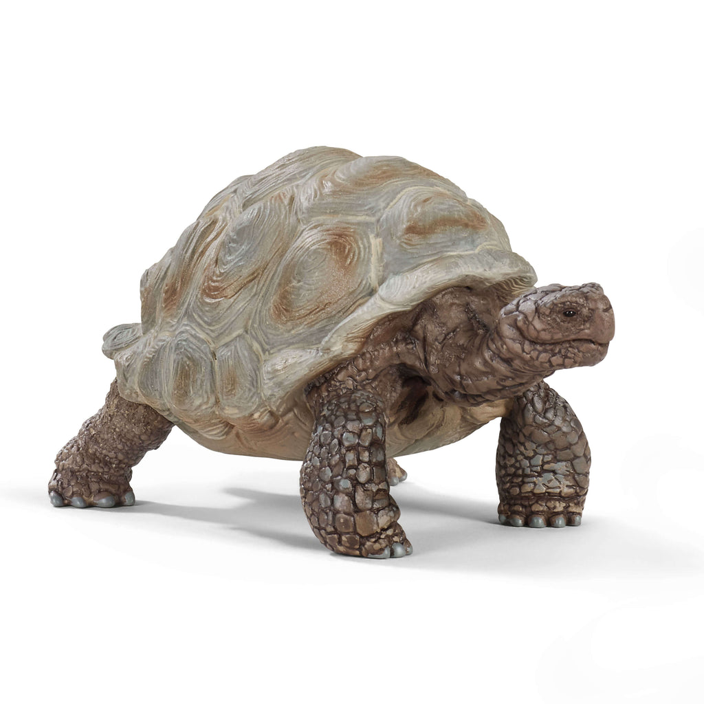 Schleich Wild Life Giant Tortoise 14824 canada ontario figurine toy