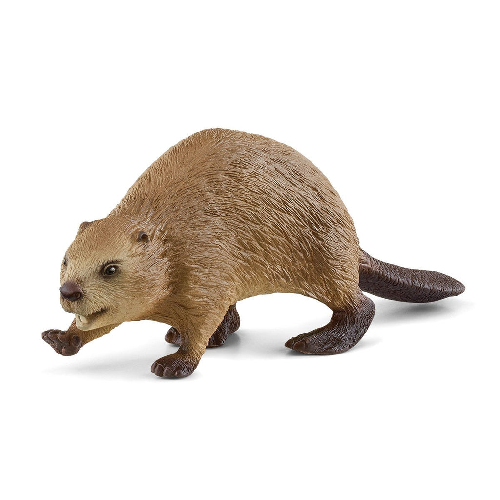 Schleich Wild Life Beaver 14855