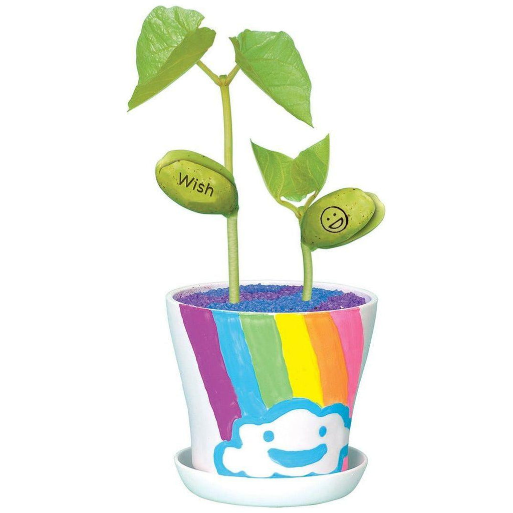 Creativity for Kids Magic Bean Garden canada ontario