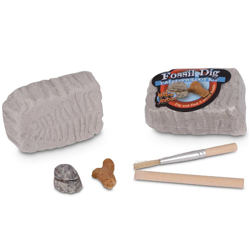 Heebie Jeebies Fossil Dig Paleontology Kit