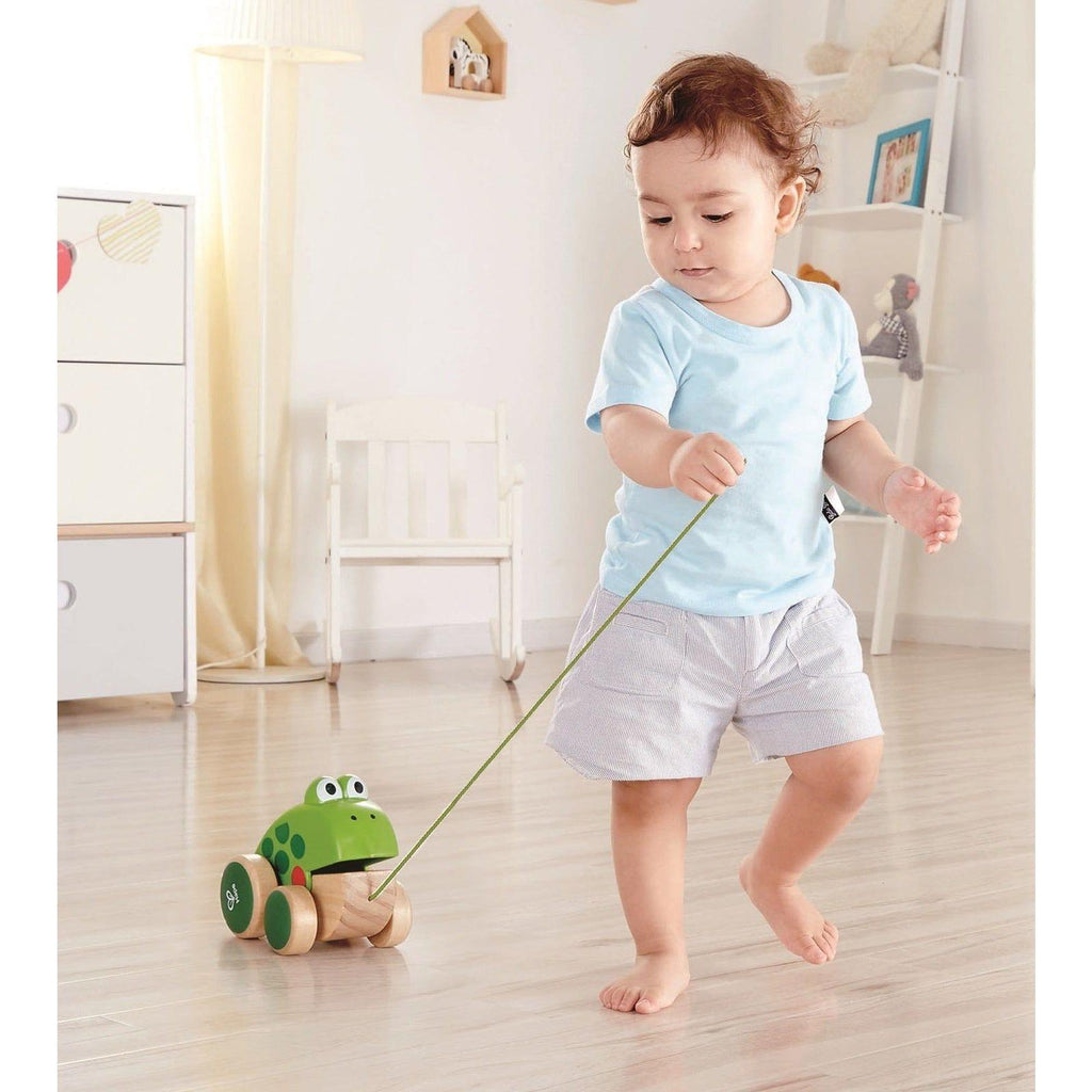 Hape Frog Pull Along E0361 0361 canada ontario