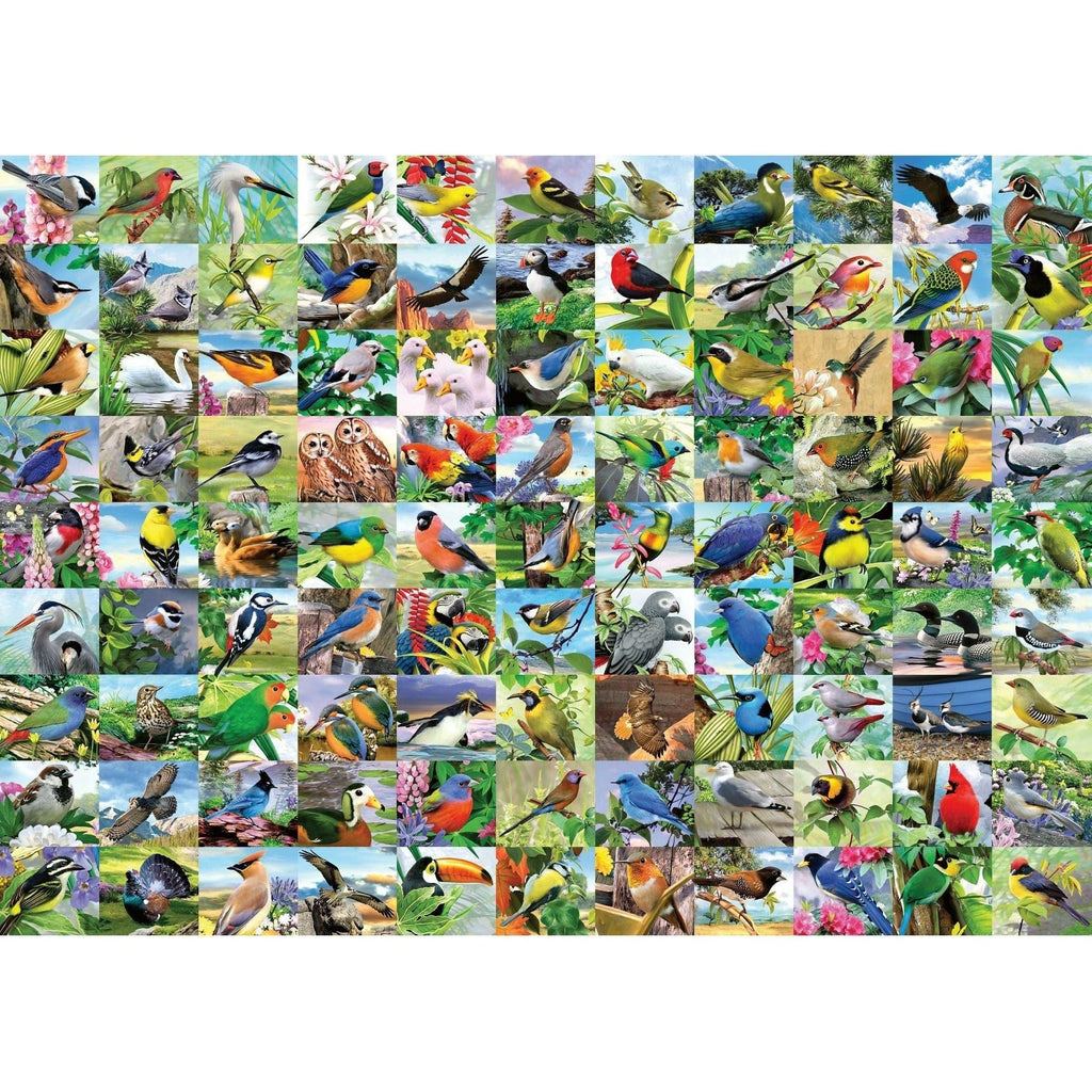 Ravensburger 300 Piece Large Format Puzzle 99 Delightful Birds 16937