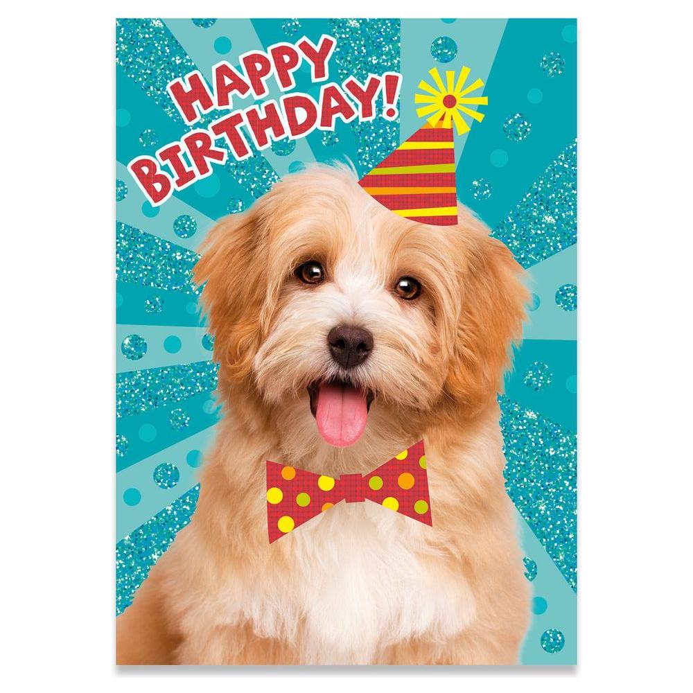 Peaceable Kingdom Birthday Card Glitter Dog