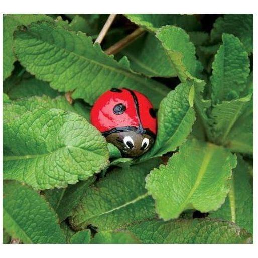 Creativity for Kids Hide and Seek Rock Painting Kit