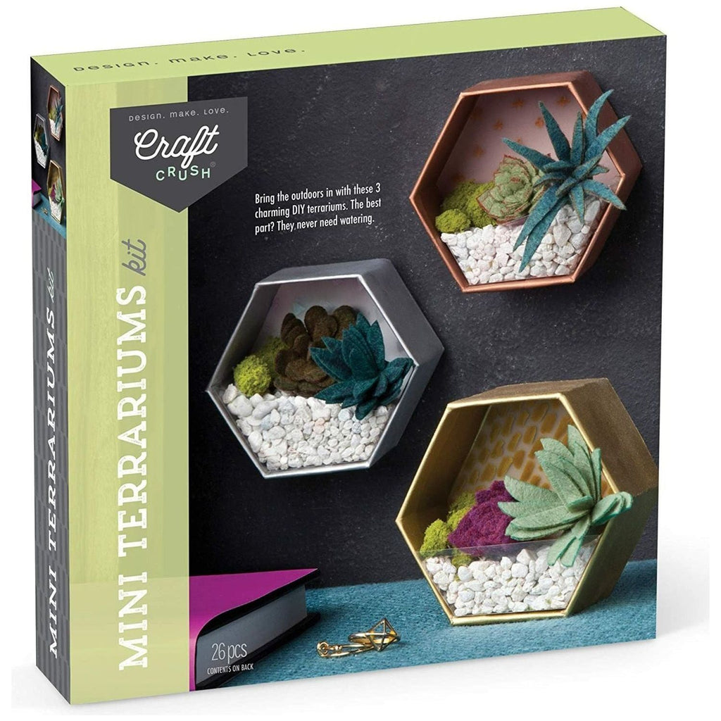 Ann Williams Craft Crush: Mini Terrariums