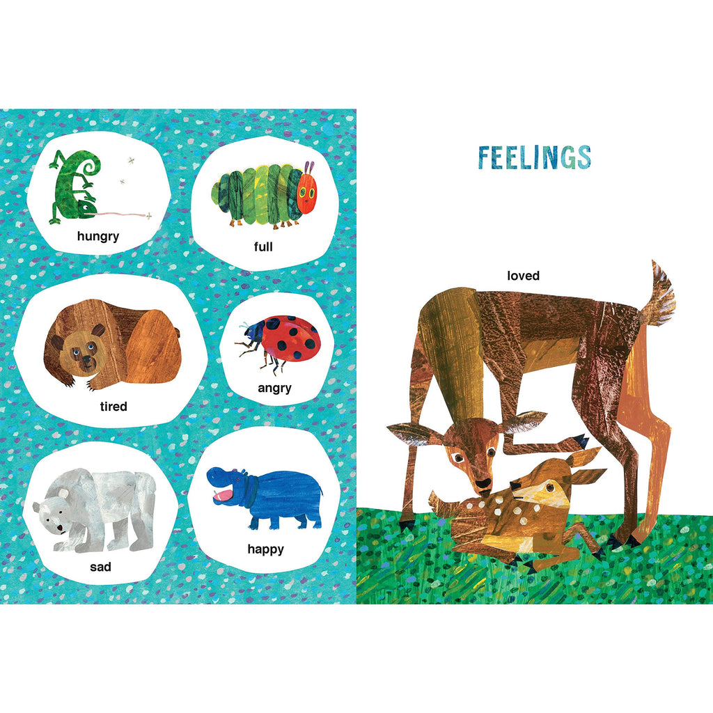 eric carle's book of many things ISBN: 9781524788674