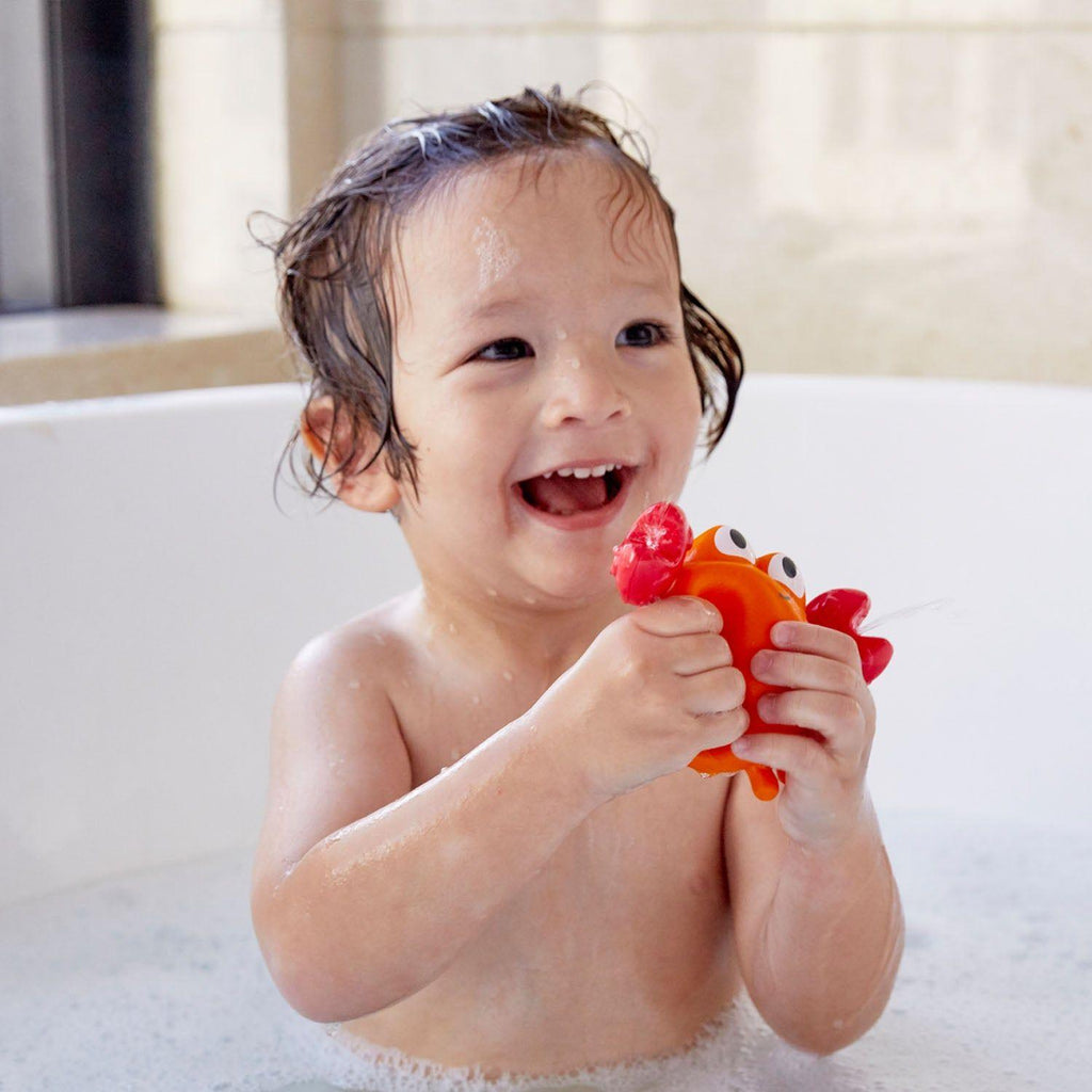 Hape Rock Pool Squirters crab puffer fish e0208 canada ontario bath toy 0208