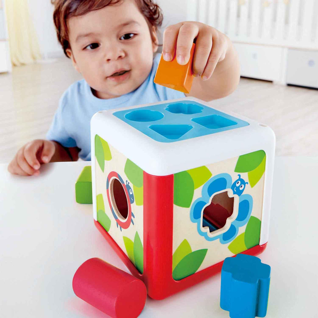 Hape Shape Sorting Box e0507 canada ontario