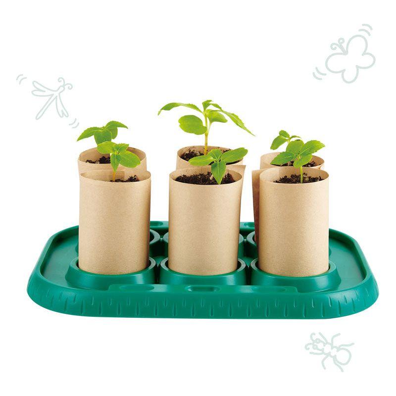 Hape Growing Gardener's Greenhouse E5580 kids gardening