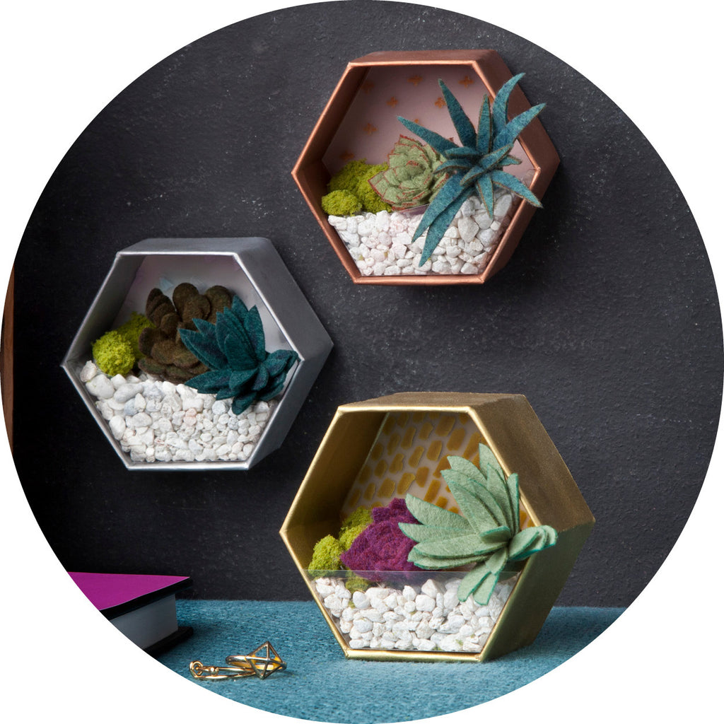 Ann Williams Craft Crush: Mini Terrariums