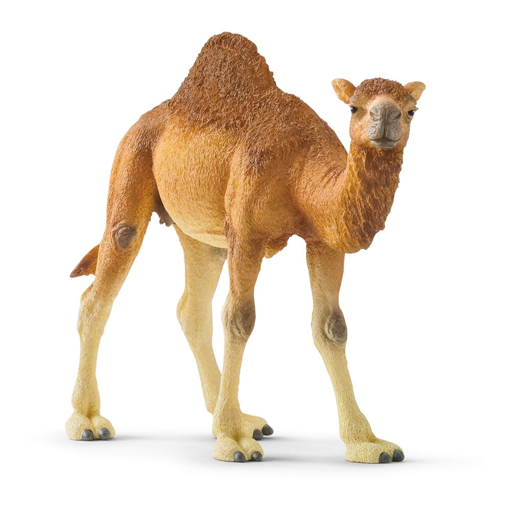 Schleich Wild Life Dromedary 14832 canada ontario one humped camel